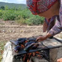 Bahçelerimiz ve Misya Çiftlikte Hazırlık